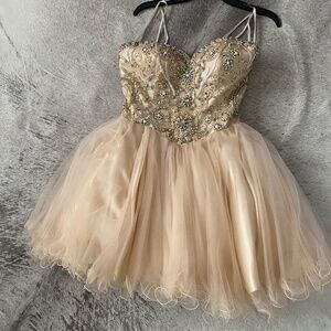 terani couture dress